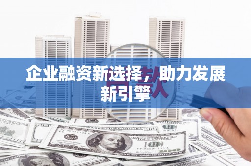 香洲企业融资新选择，助力发展新引擎