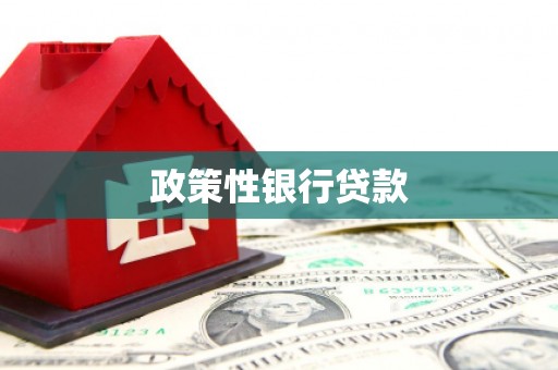 香洲政策性银行贷款