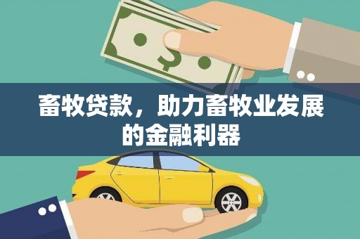 香洲畜牧贷款，助力畜牧业发展的金融利器
