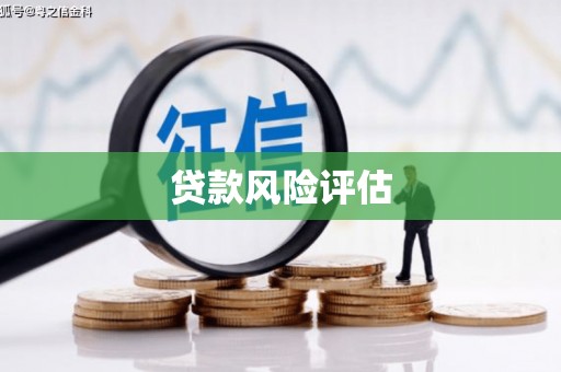 香洲贷款风险评估