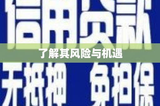 香洲了解其风险与机遇