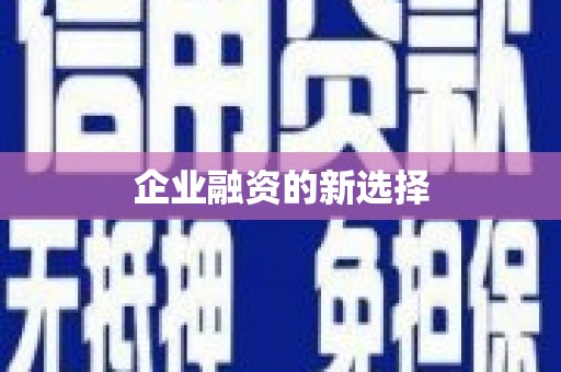 香洲企业融资的新选择