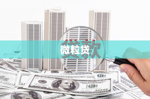 香洲微粒贷