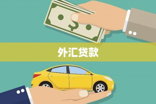 香洲外汇贷款