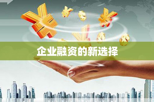 香洲企业融资的新选择