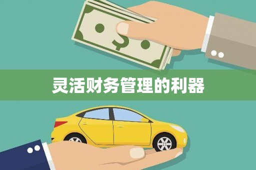 香洲灵活财务管理的利器