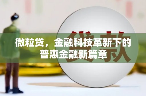 香洲微粒贷，金融科技革新下的普惠金融新篇章