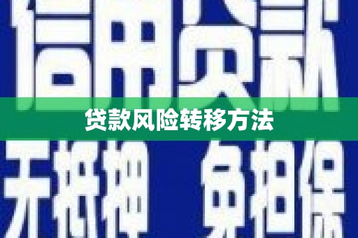 香洲贷款风险转移方法