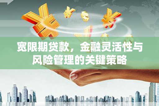 香洲宽限期贷款，金融灵活性与风险管理的关键策略