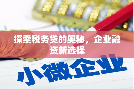 香洲探索税务贷的奥秘，企业融资新选择