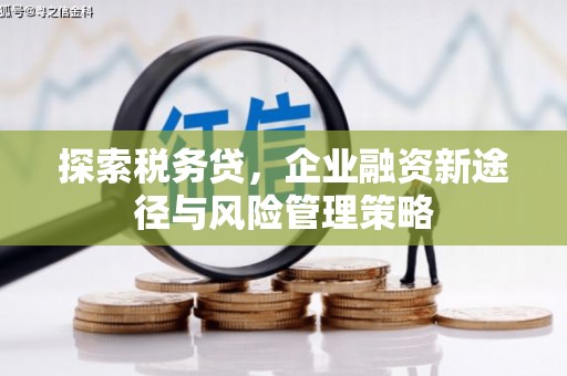香洲探索税务贷，企业融资新途径与风险管理策略