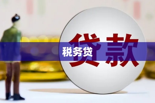 香洲税务贷
