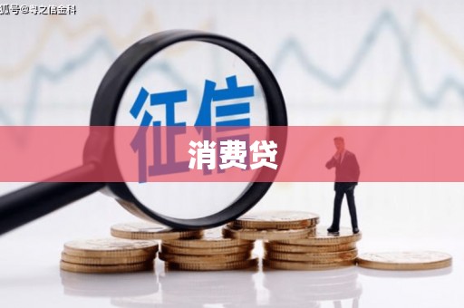 香洲消费贷