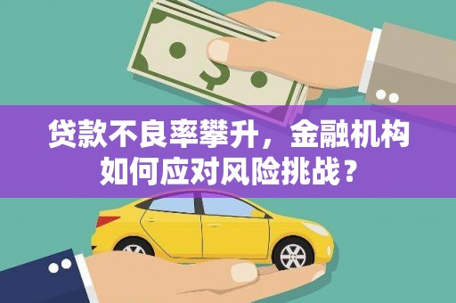 香洲贷款不良率攀升，金融机构如何应对风险挑战？