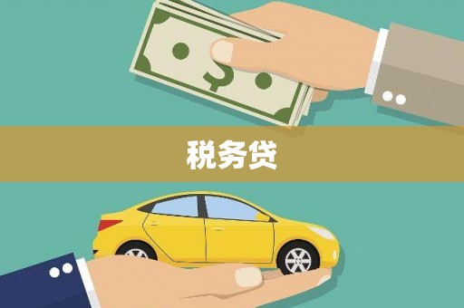 香洲税务贷