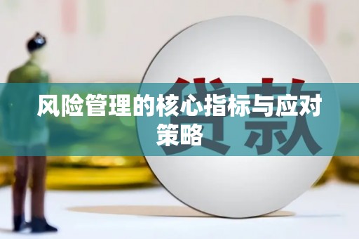 香洲风险管理的核心指标与应对策略