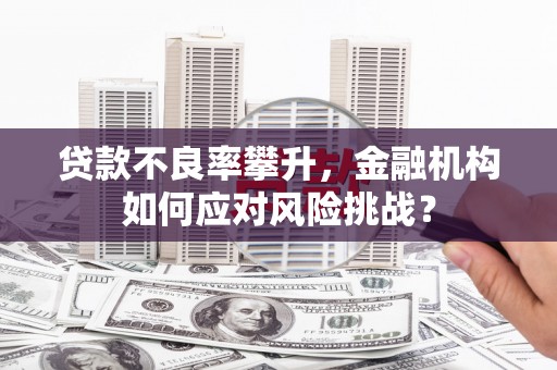 香洲贷款不良率攀升，金融机构如何应对风险挑战？