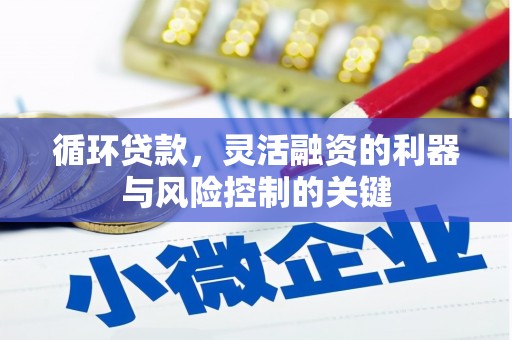 香洲循环贷款，灵活融资的利器与风险控制的关键
