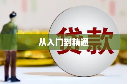 香洲从入门到精通