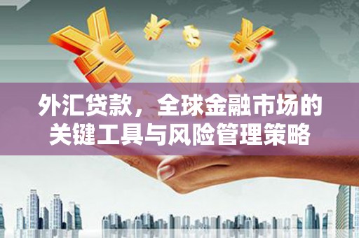 香洲外汇贷款，全球金融市场的关键工具与风险管理策略