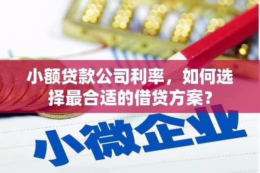 香洲小额贷款公司利率，如何选择最合适的借贷方案？