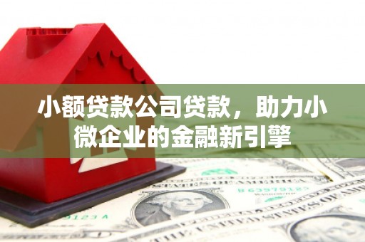 香洲小额贷款公司贷款，助力小微企业的金融新引擎
