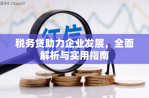 香洲税务贷助力企业发展，全面解析与实用指南