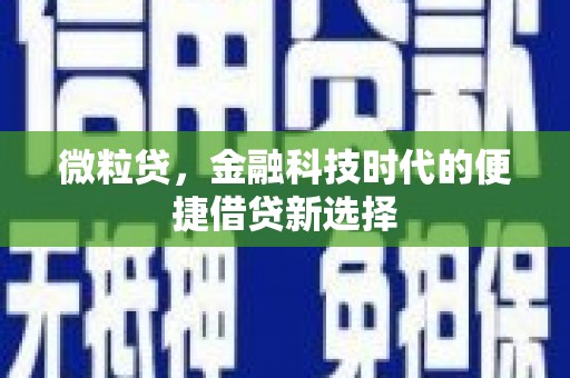 香洲微粒贷，金融科技时代的便捷借贷新选择