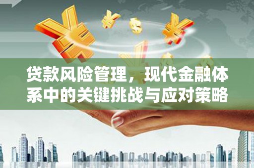 香洲贷款风险管理，现代金融体系中的关键挑战与应对策略