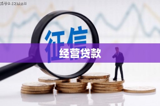 香洲经营贷款